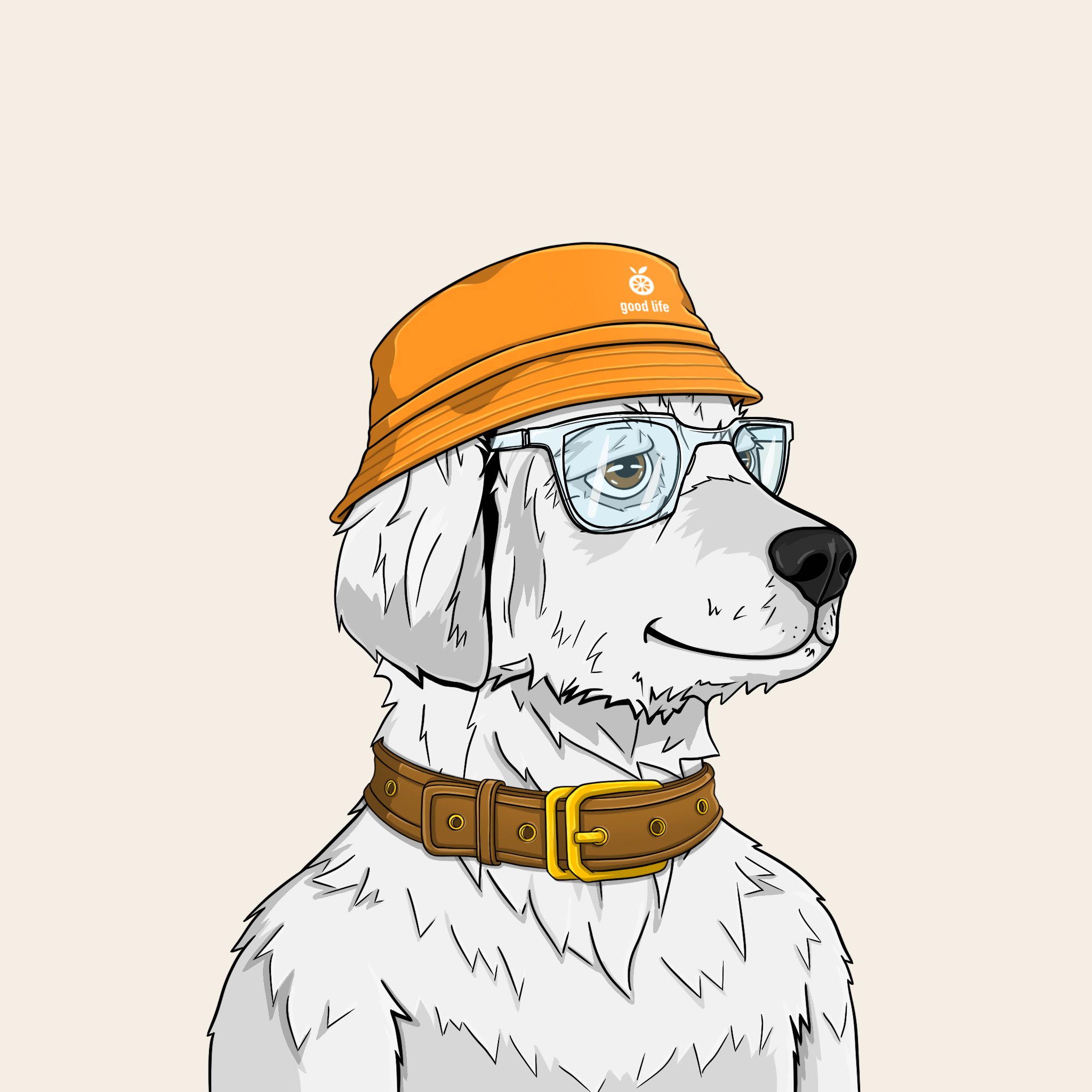 goodboi #1587 NFT on Algorand