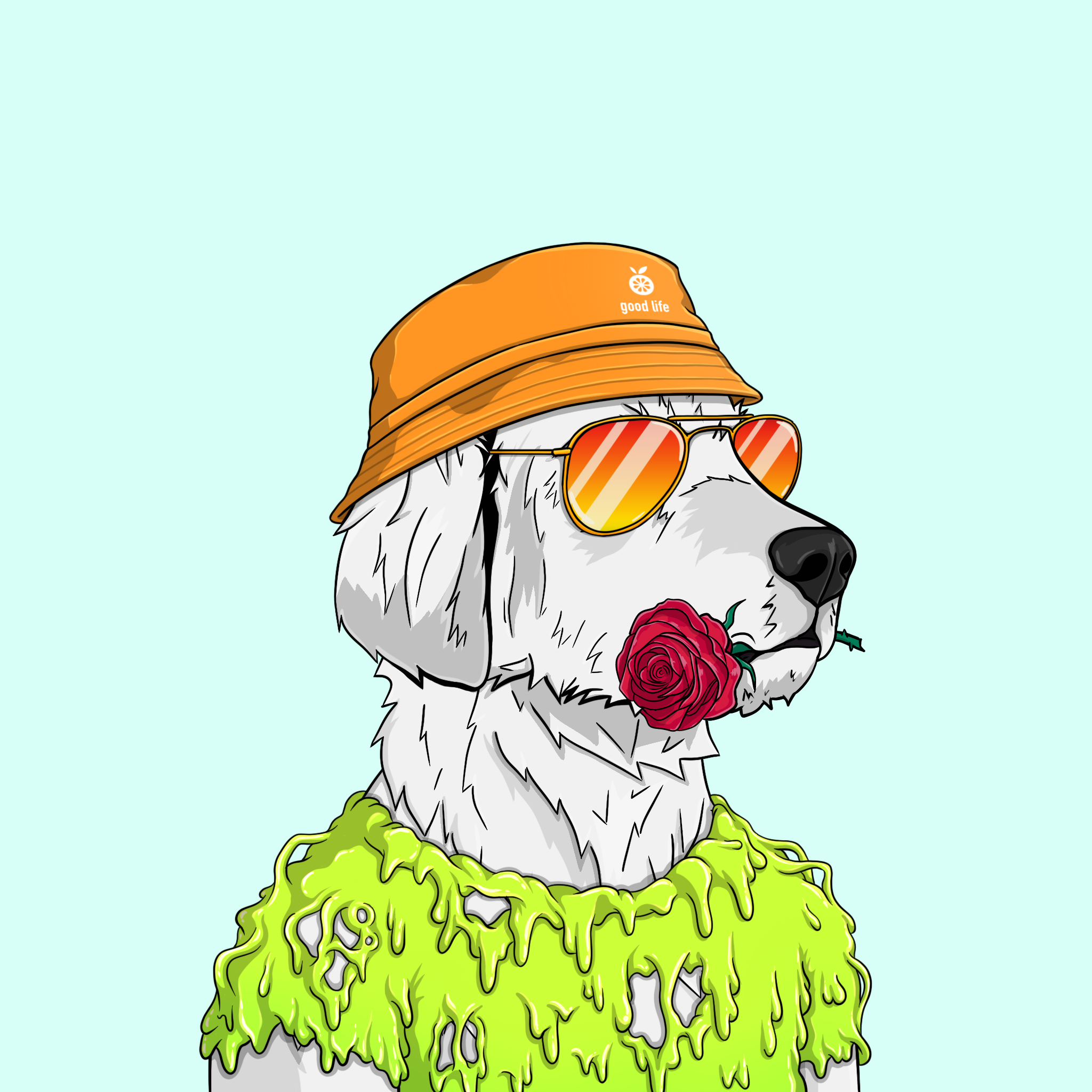 goodboi #1600 NFT on Algorand