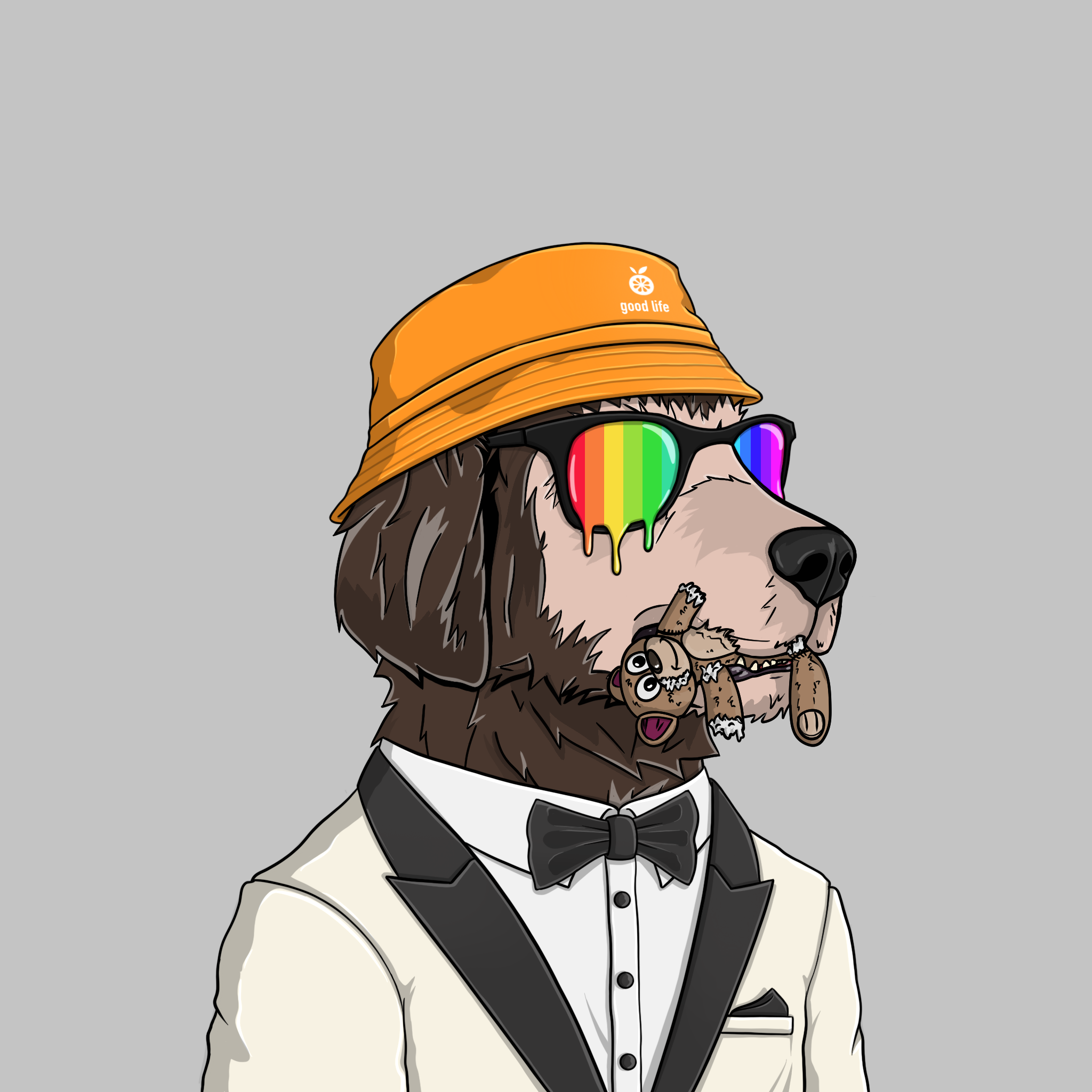 goodboi #1646 NFT on Algorand