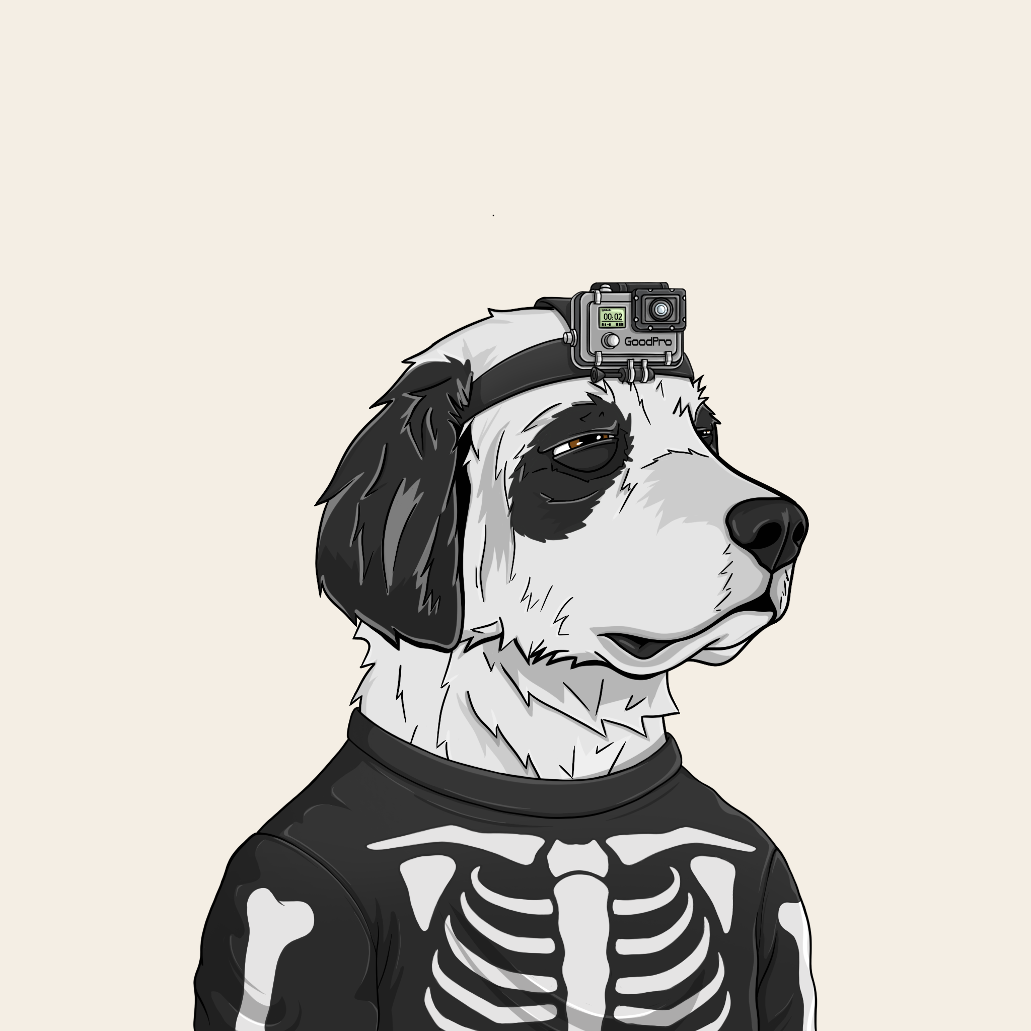 goodboi #1648 NFT on Algorand