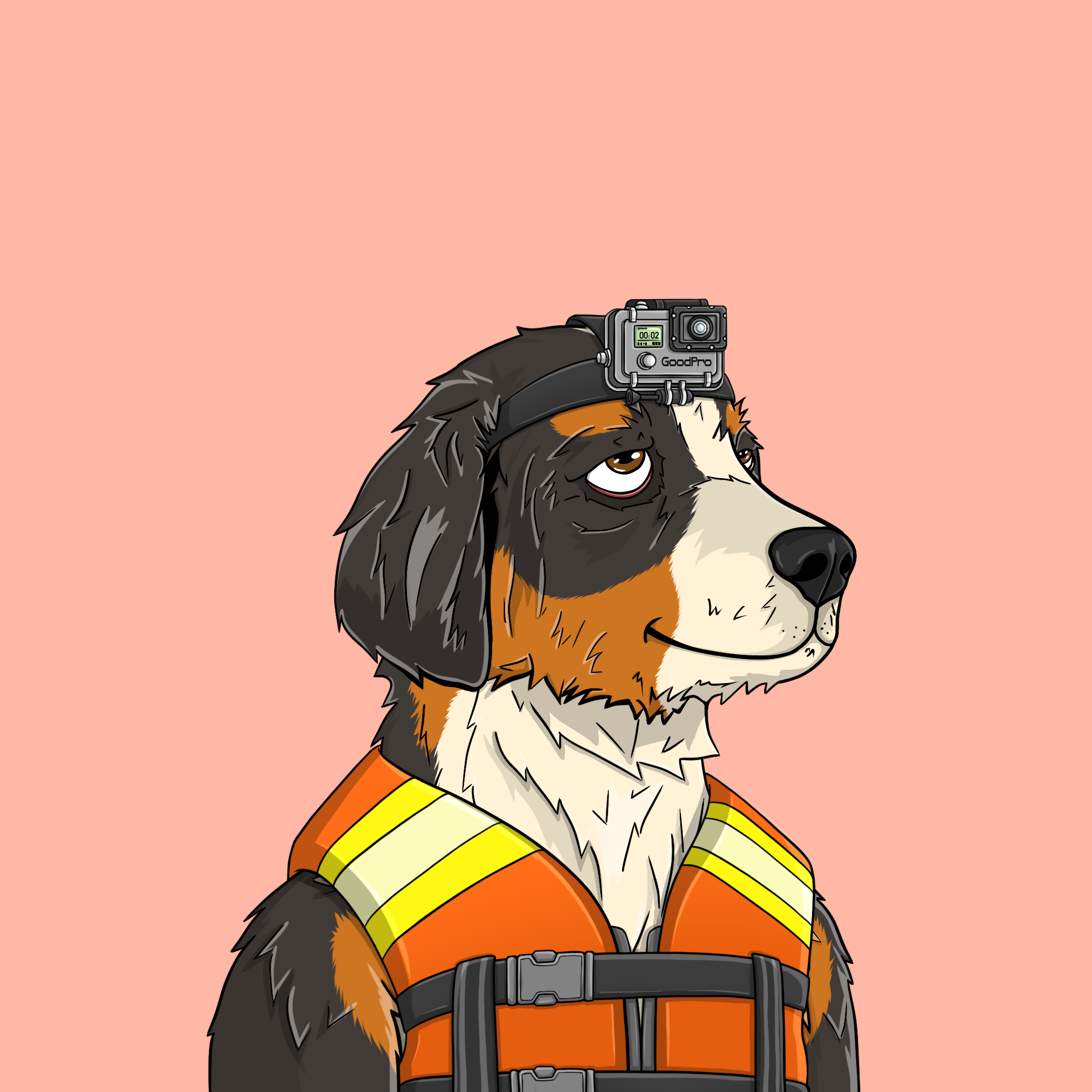 goodboi #1698 NFT on Algorand