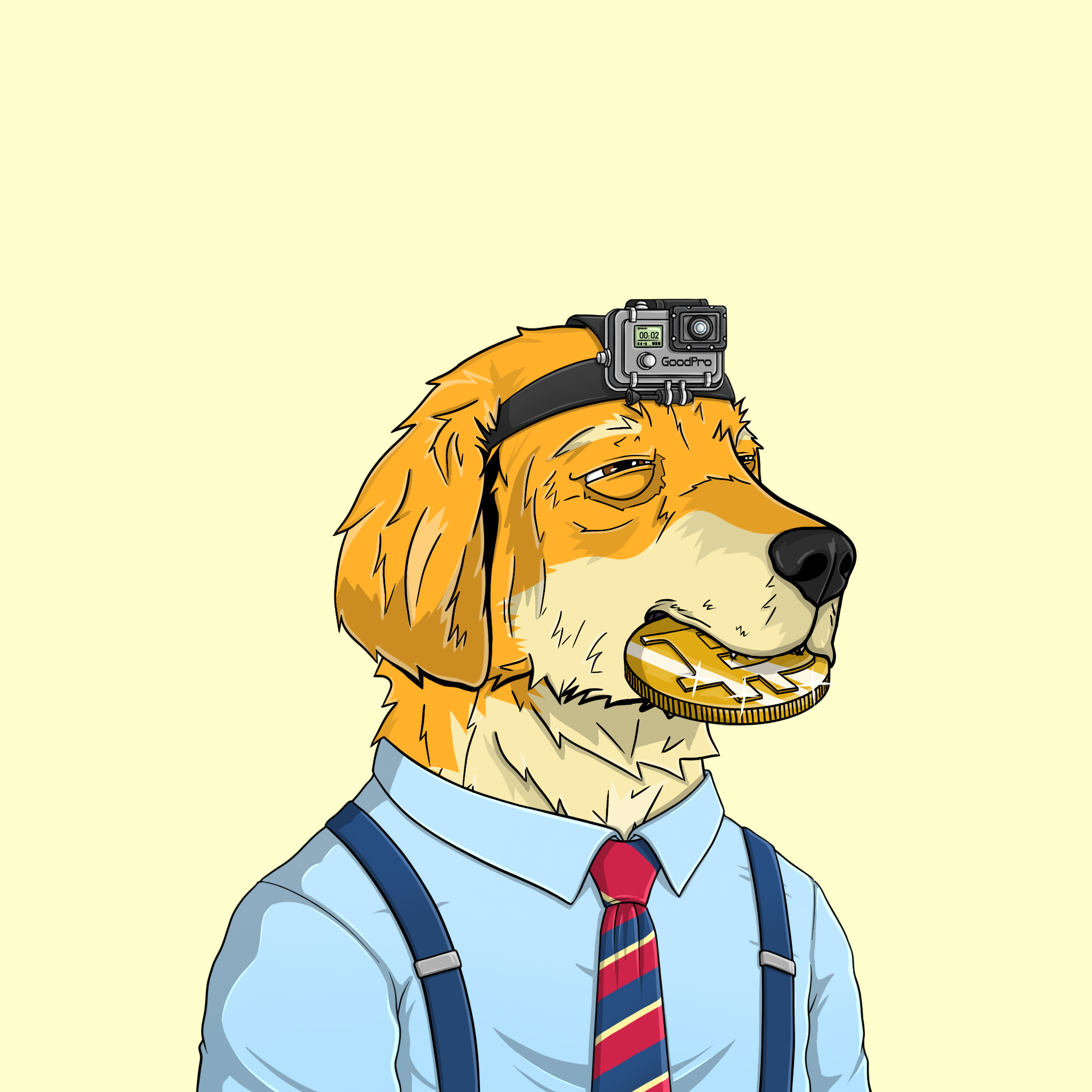 goodboi #1719 NFT on Algorand