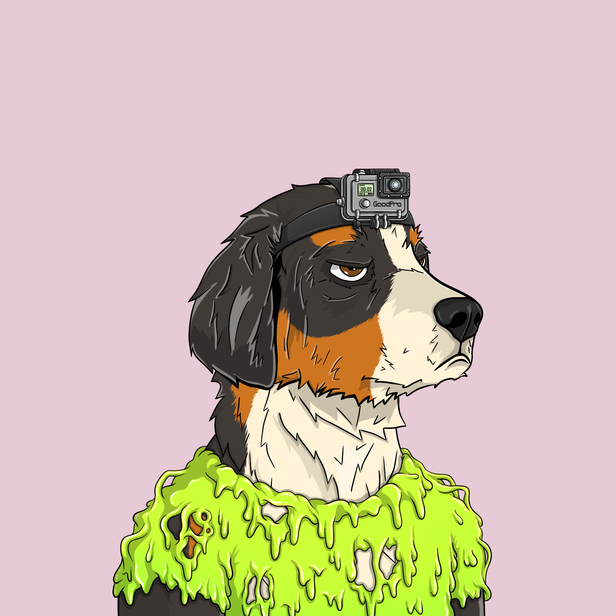 goodboi #1070 NFT on Algorand