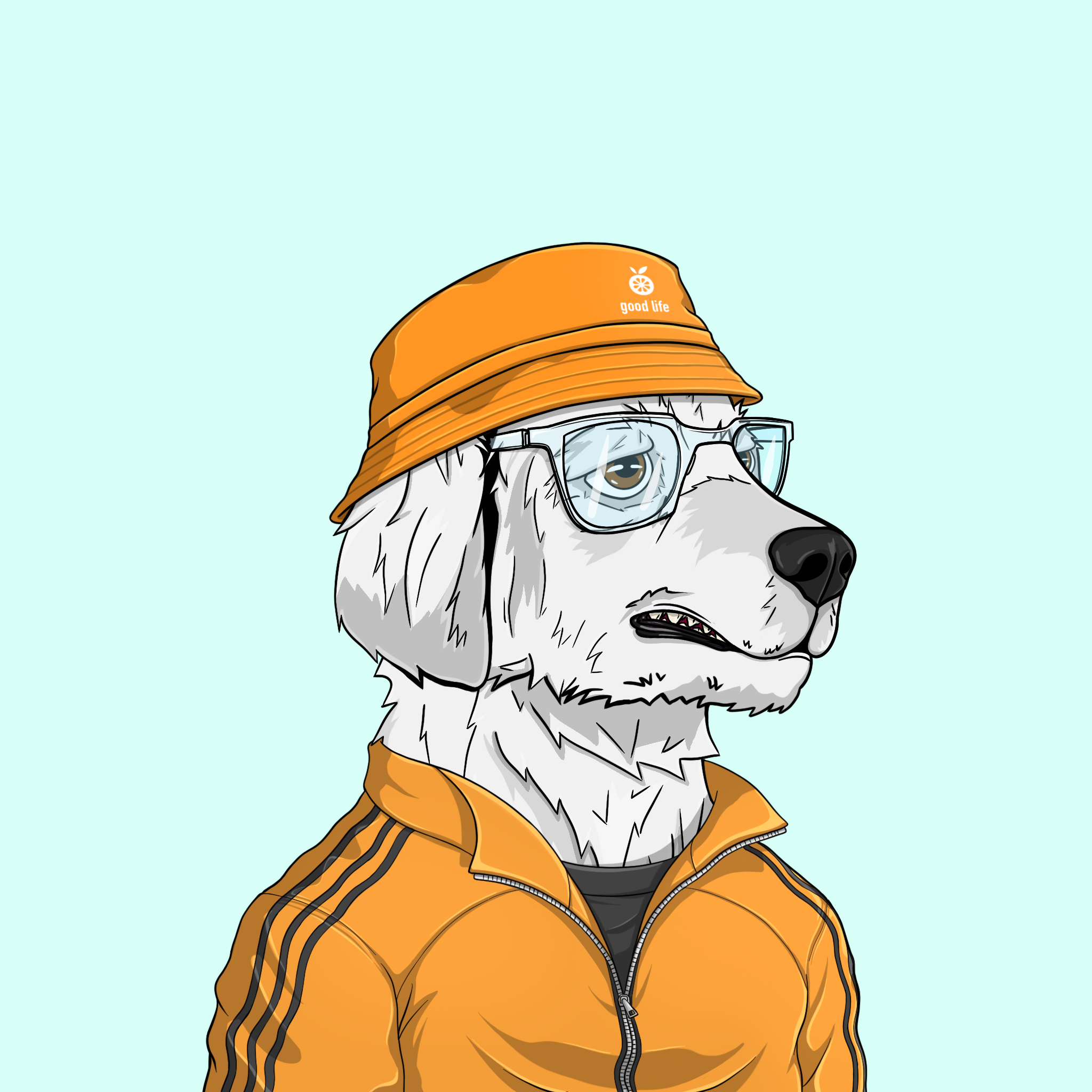 goodboi #1889 NFT on Algorand