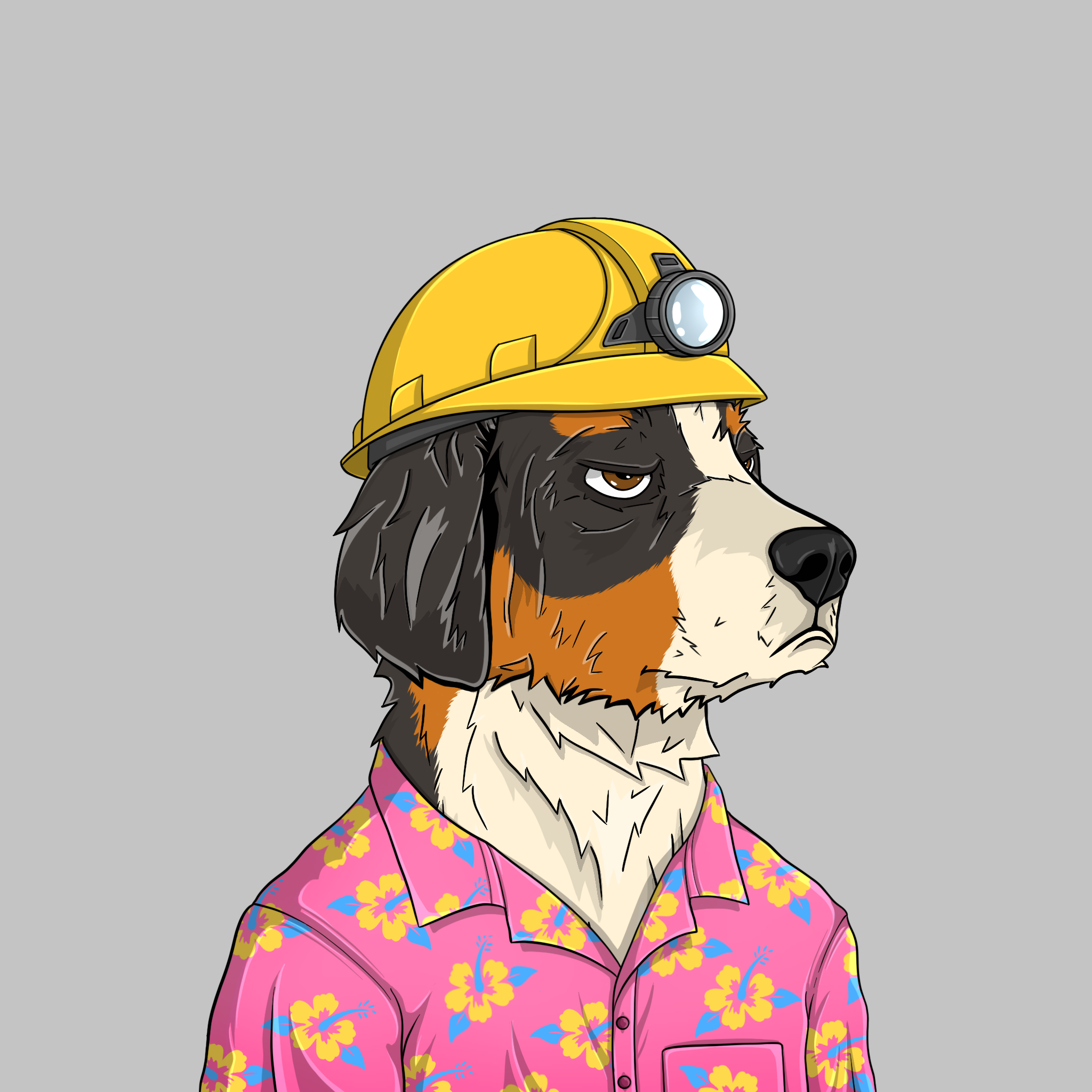 goodboi #1900 NFT on Algorand