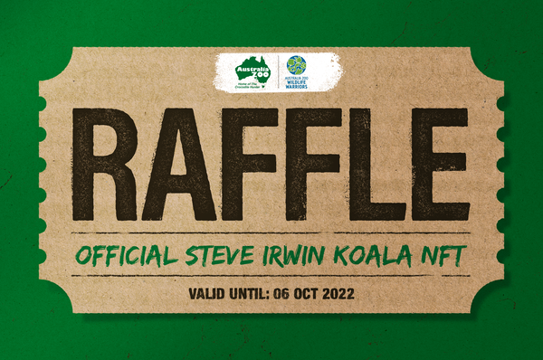 An image of Steve Irwin Koala Raffle Ticket