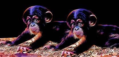 Twin Baby Ape