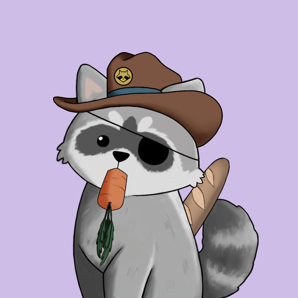 An image of Raccoon #182