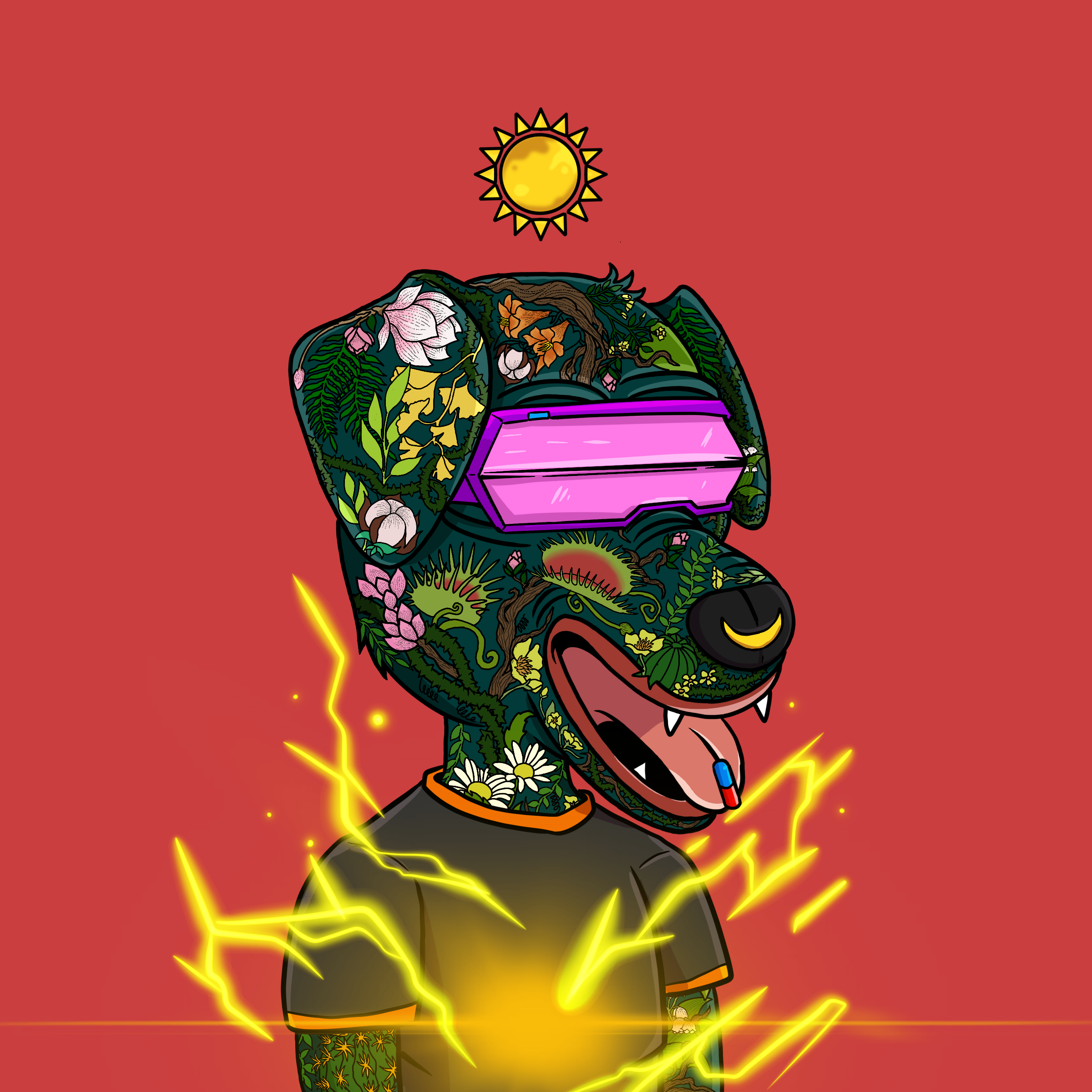 DOTSight #2427 NFT on Algorand