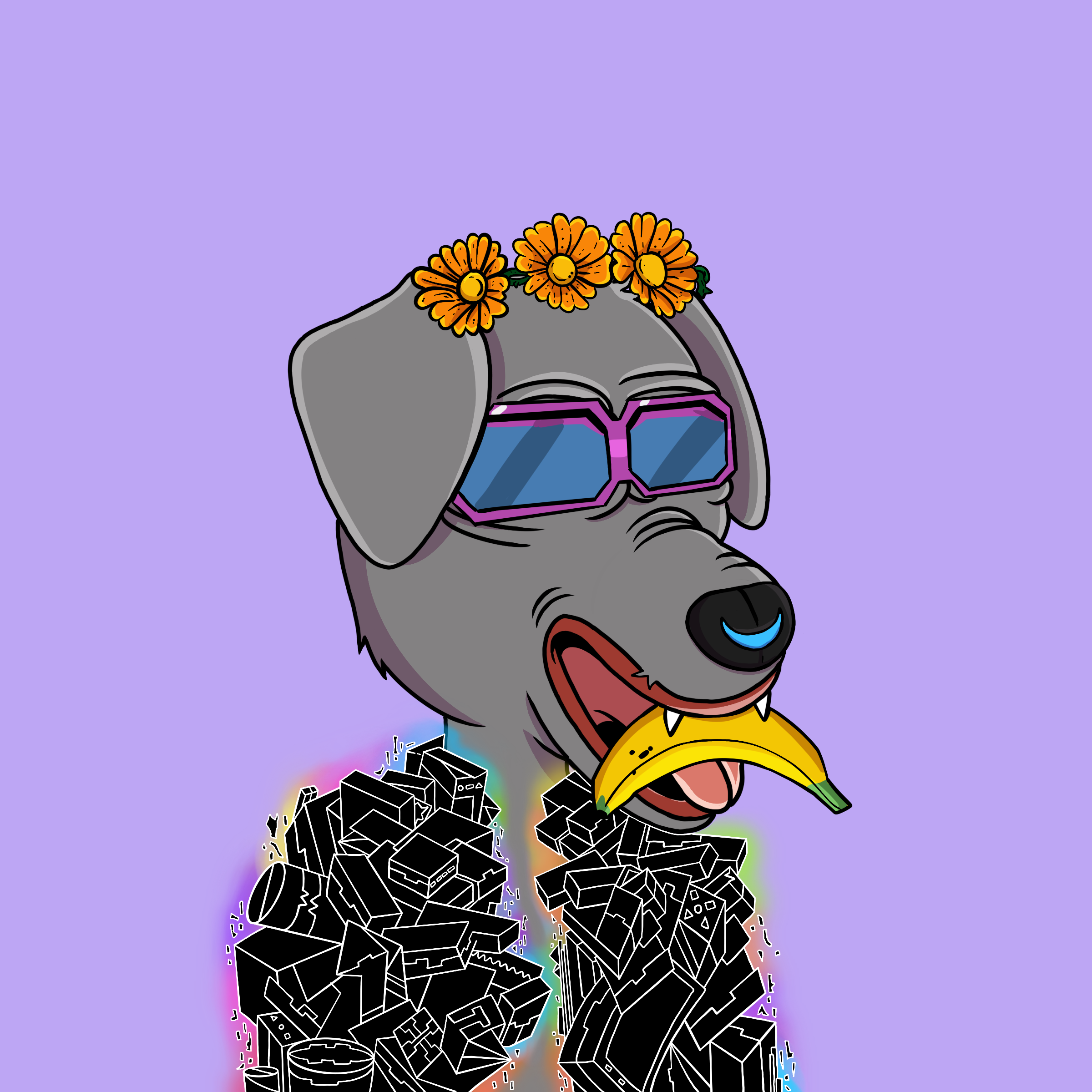 DOTSight #2482 NFT on Algorand