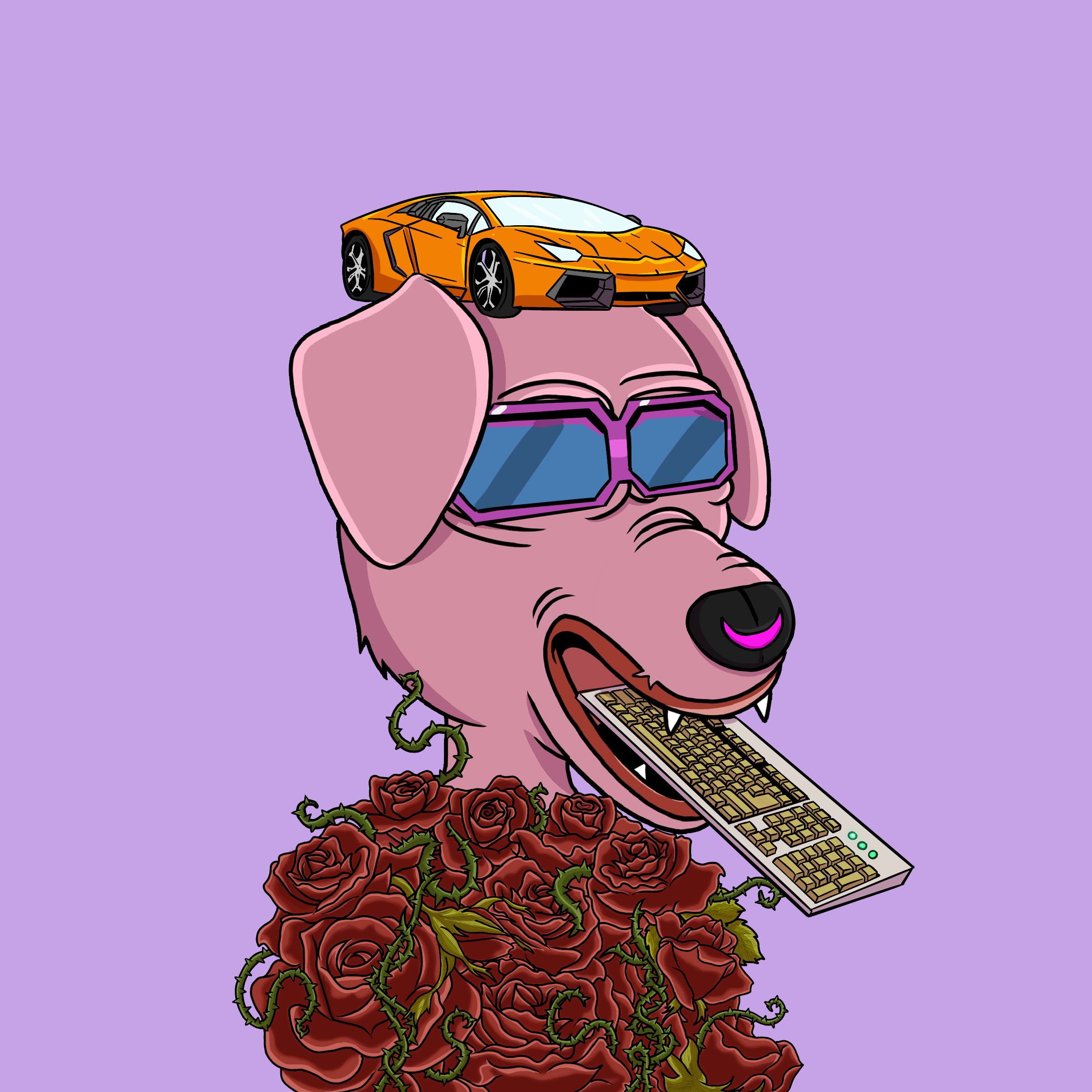 DOTSight #2508 NFT on Algorand