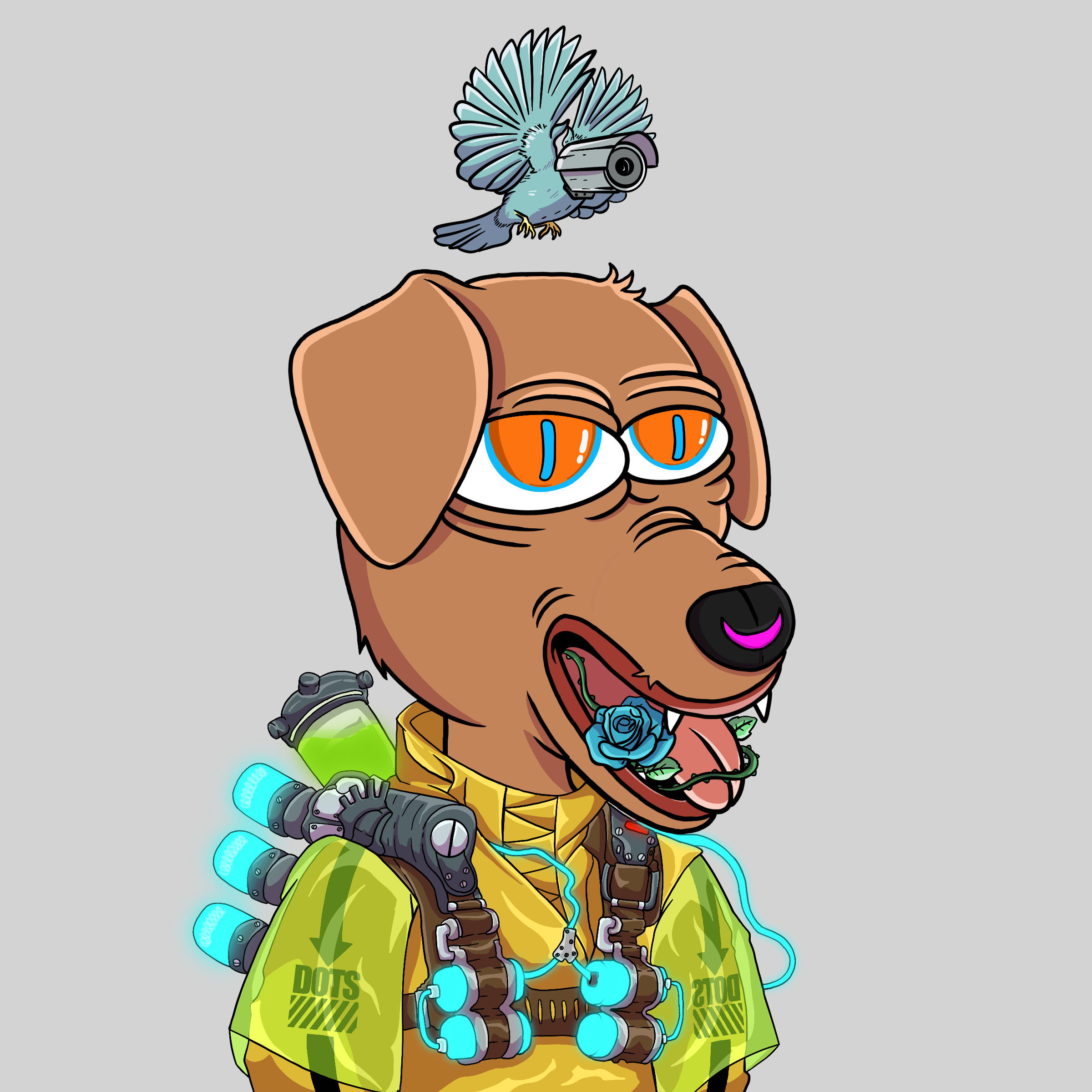 DOTSight #2640 NFT on Algorand