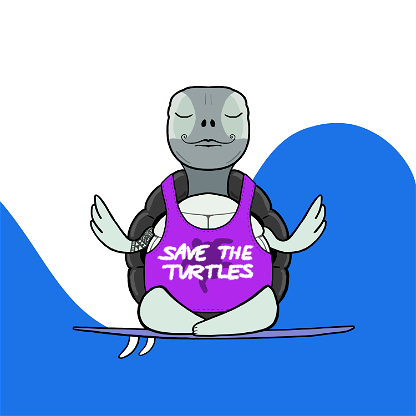 Zen Turtle 0153