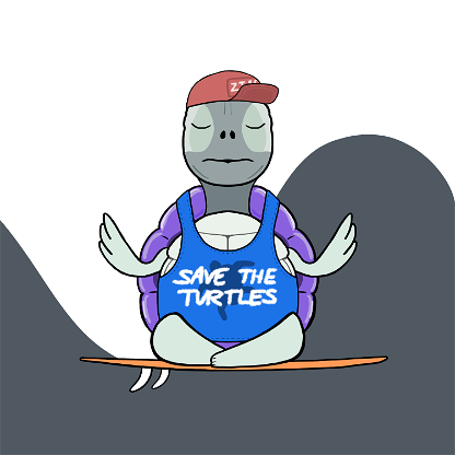 Zen Turtle 0050