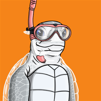 Wildlife Warrior Turtle #259