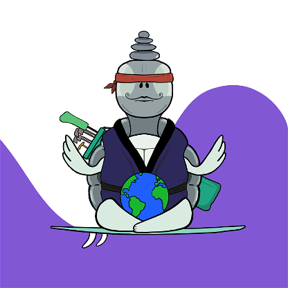 Zen Turtle 0193