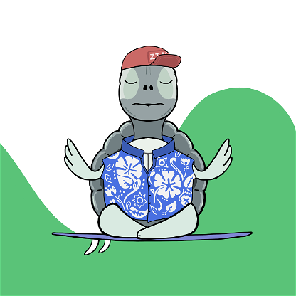 Zen Turtle 0099