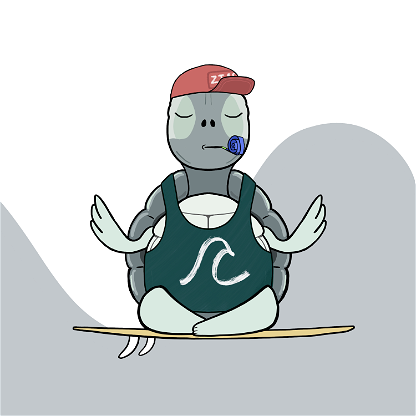 Zen Turtle 0169