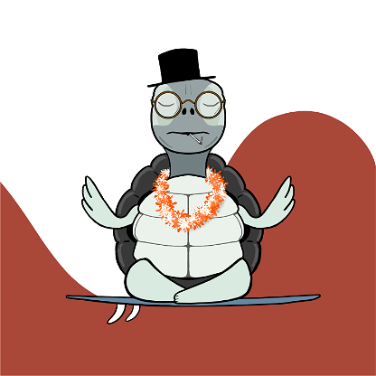 Zen Turtle 0164