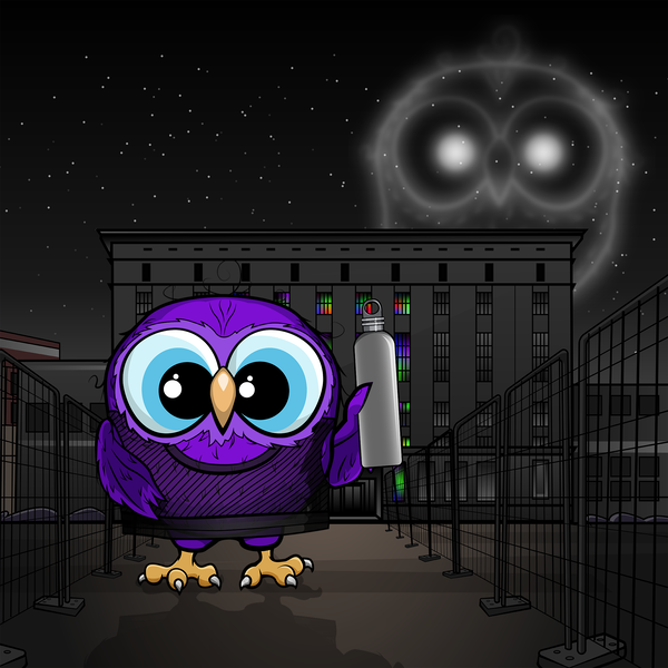 Image of cryptOOwl 025