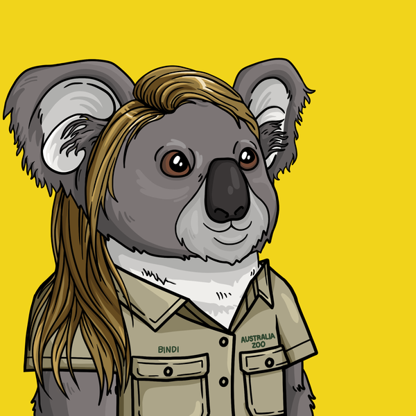 An image of Wildlife Warrior Koala #3