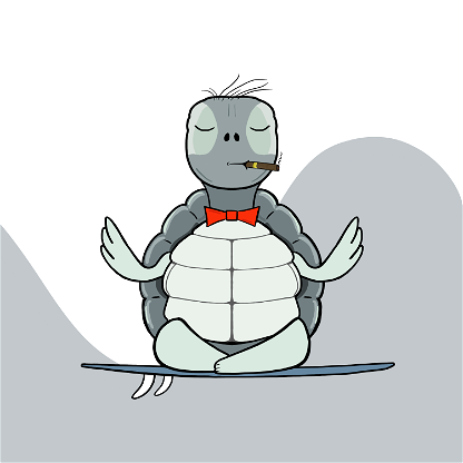 Zen Turtle 0086