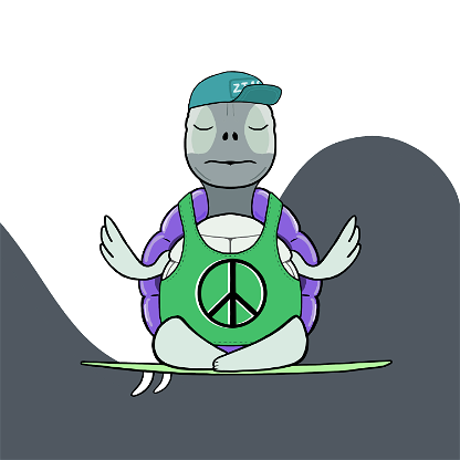 Zen Turtle 0180
