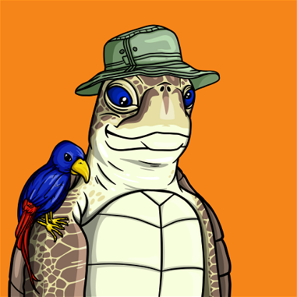 Wildlife Warrior Turtle #316