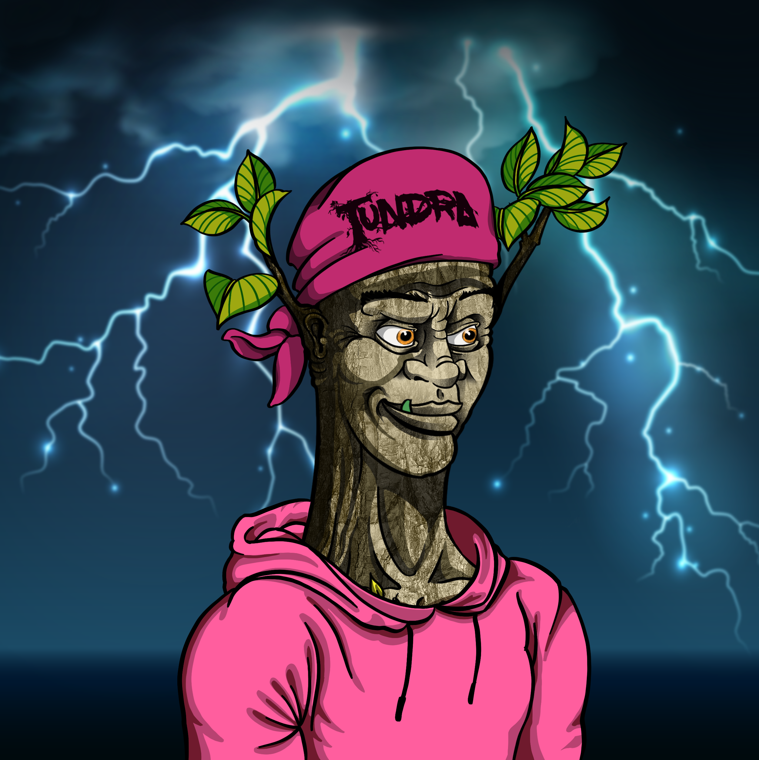 Tundra #103 NFT on Algorand