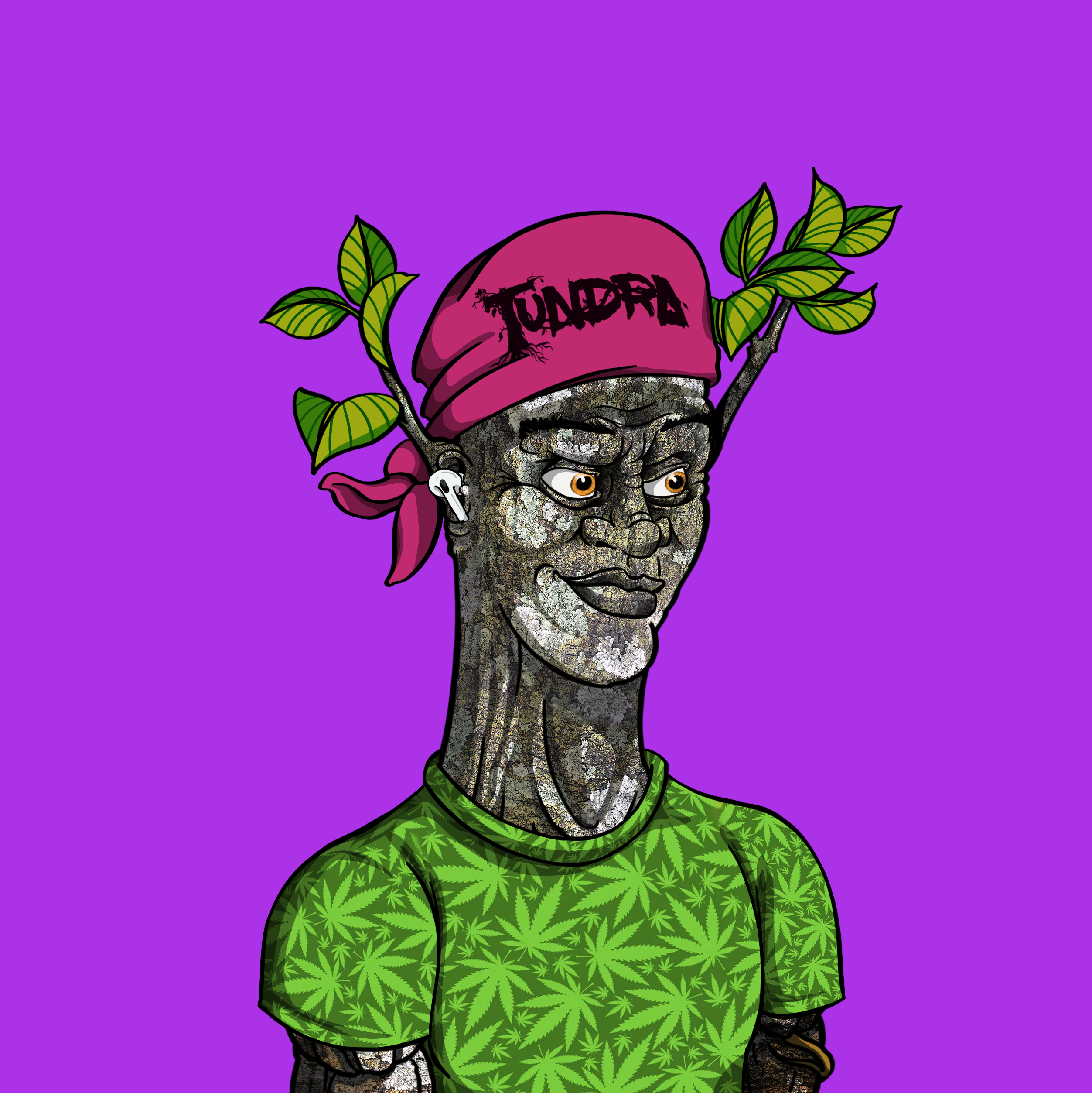 Tundra #161 NFT on Algorand