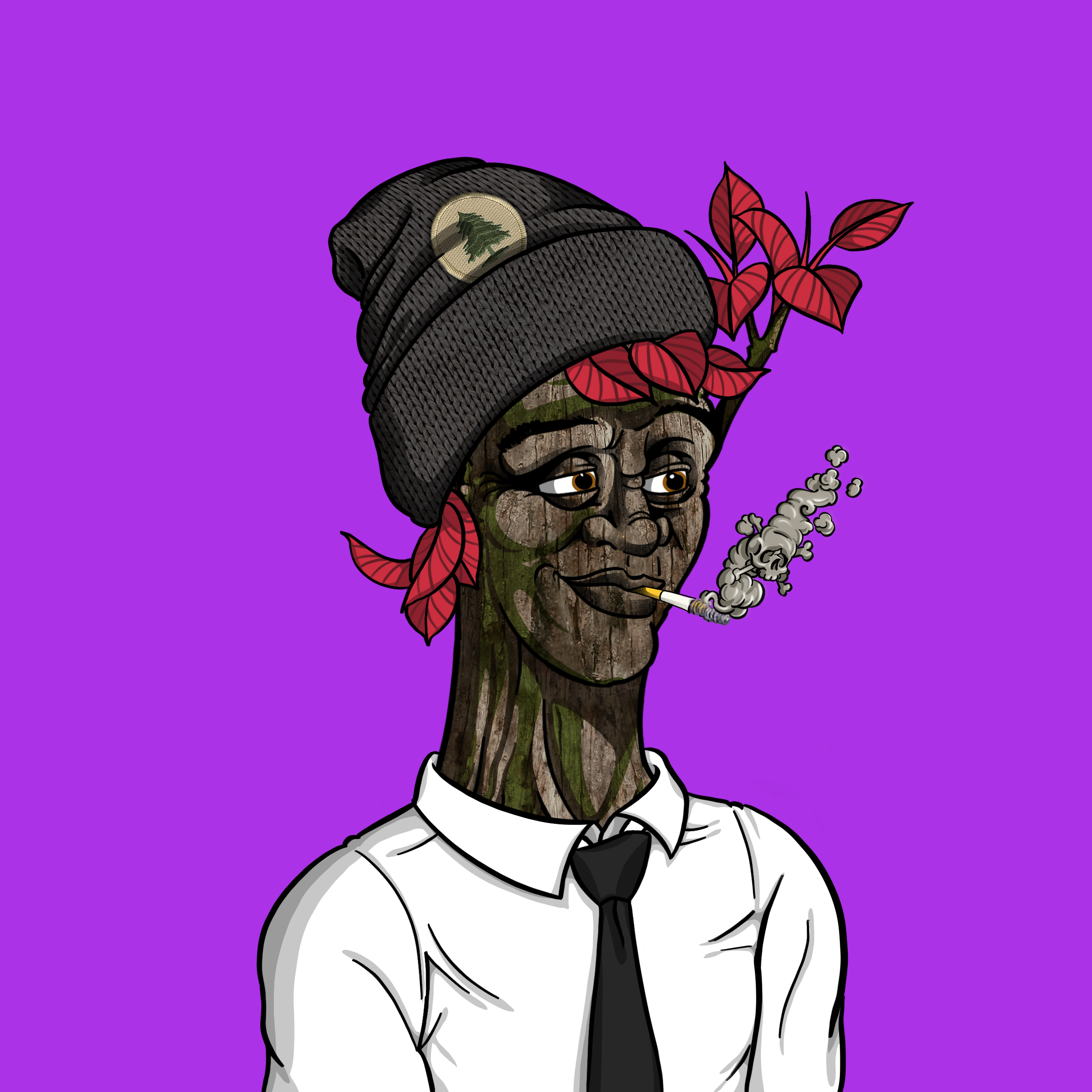 Tundra #17 NFT on Algorand