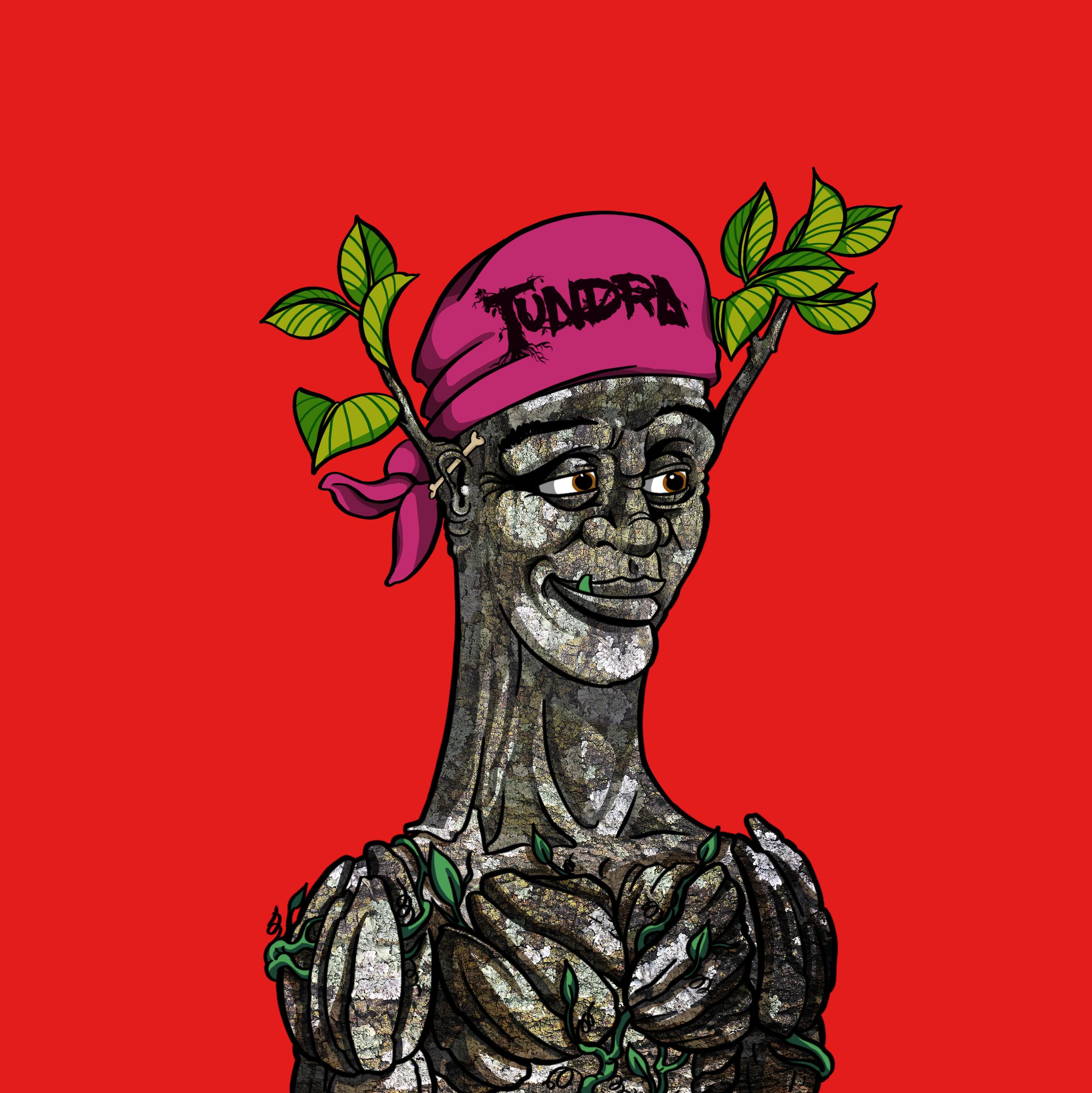 Tundra #274 NFT on Algorand