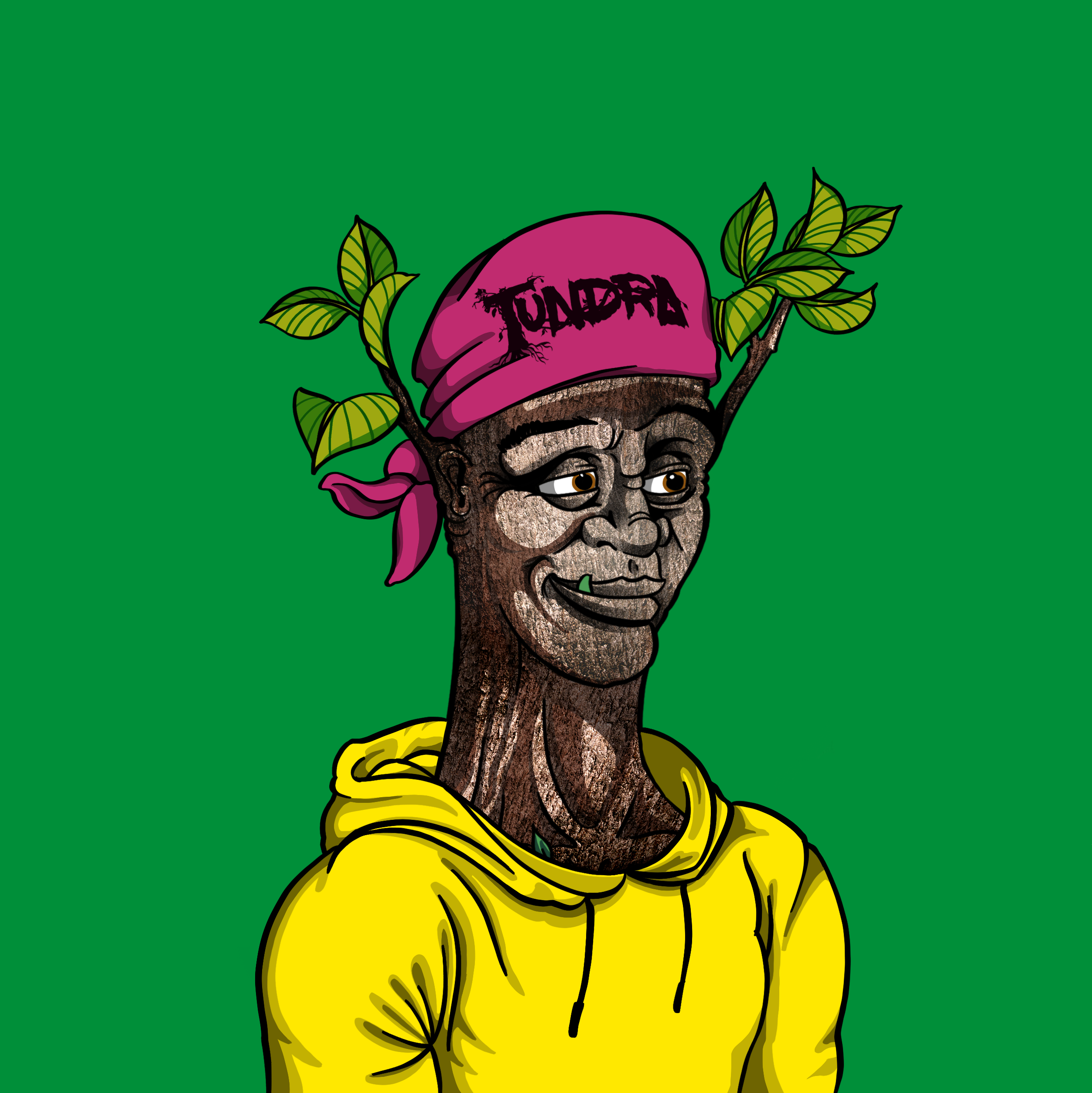 Tundra #462 NFT on Algorand