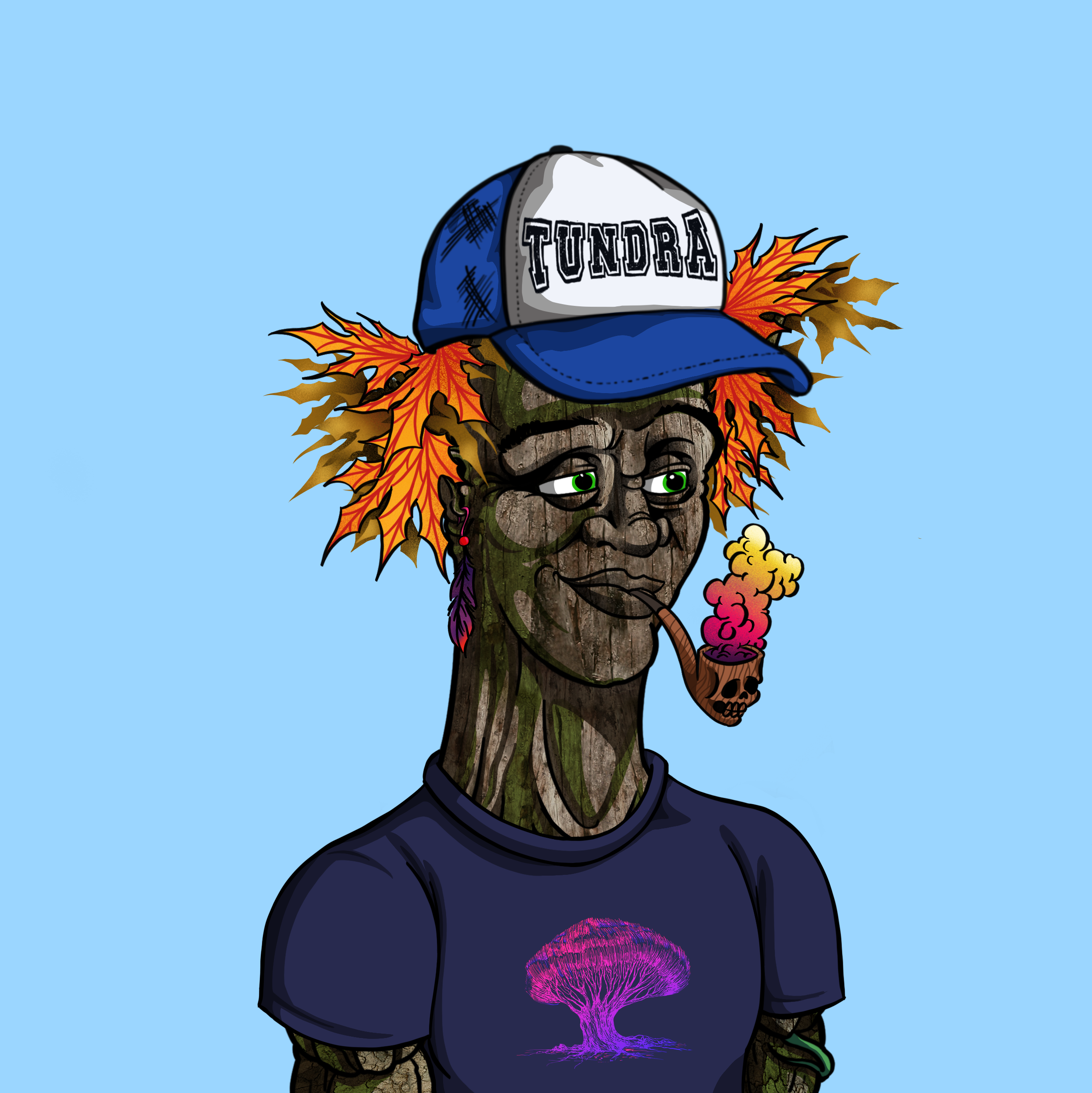 Tundra #539 NFT on Algorand