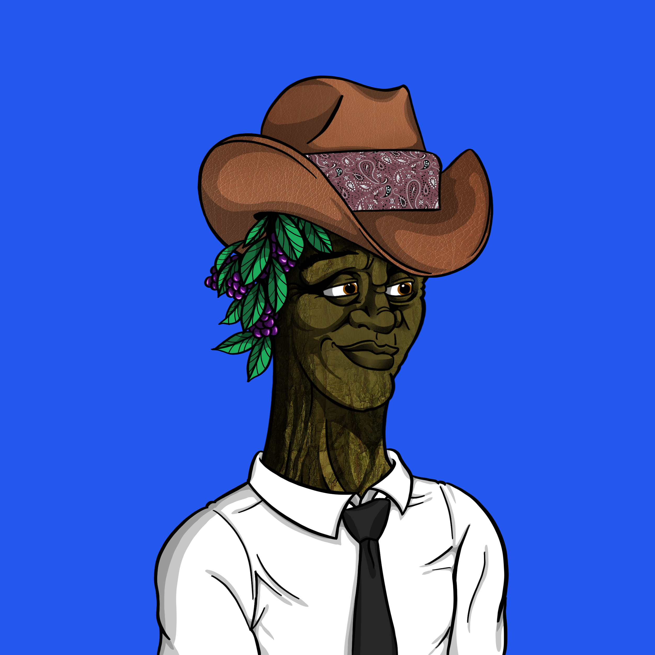 Tundra #555 NFT on Algorand