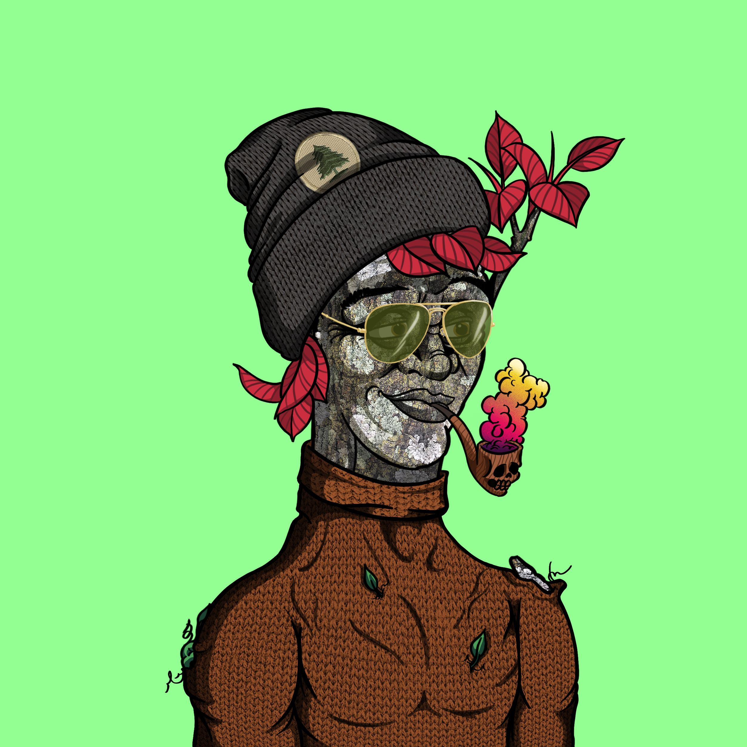 Tundra #572 NFT on Algorand