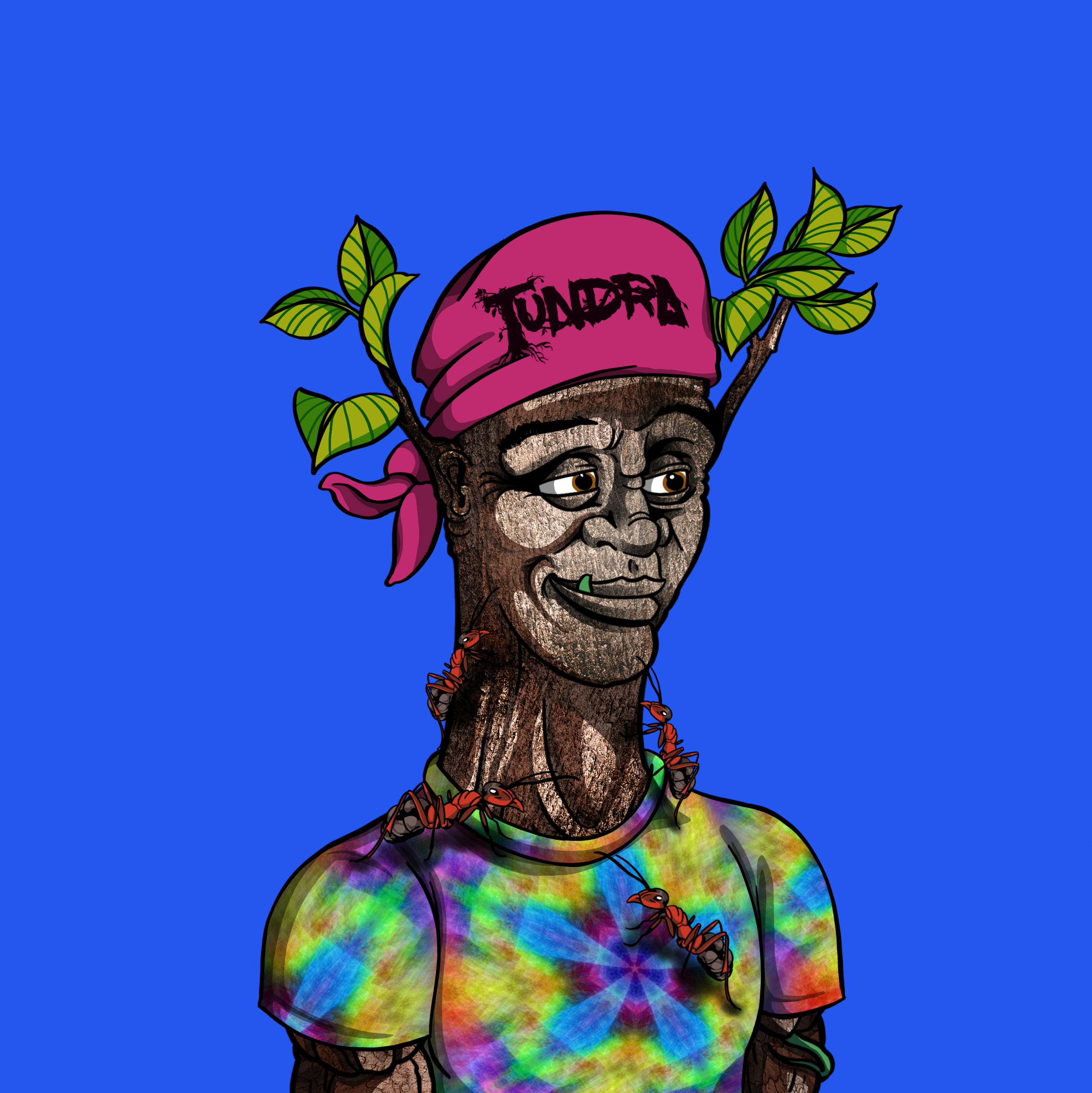 Tundra #730 NFT on Algorand