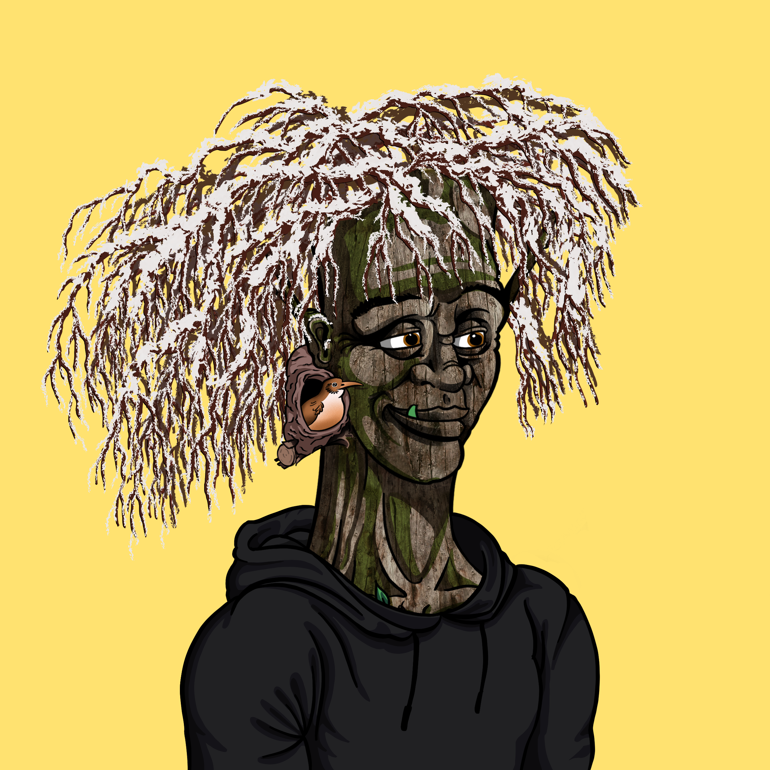 Tundra #851 NFT on Algorand