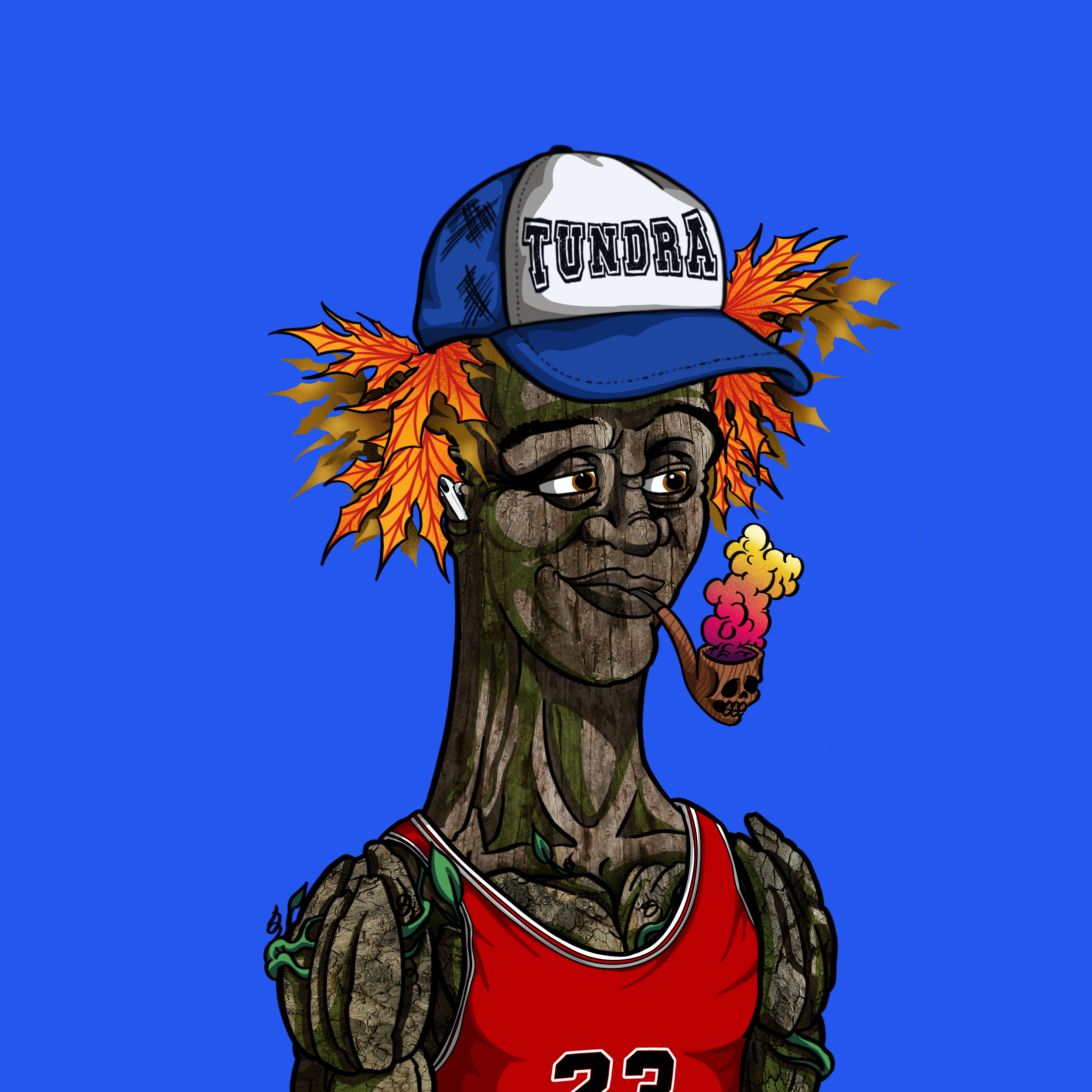 Tundra #867 NFT on Algorand