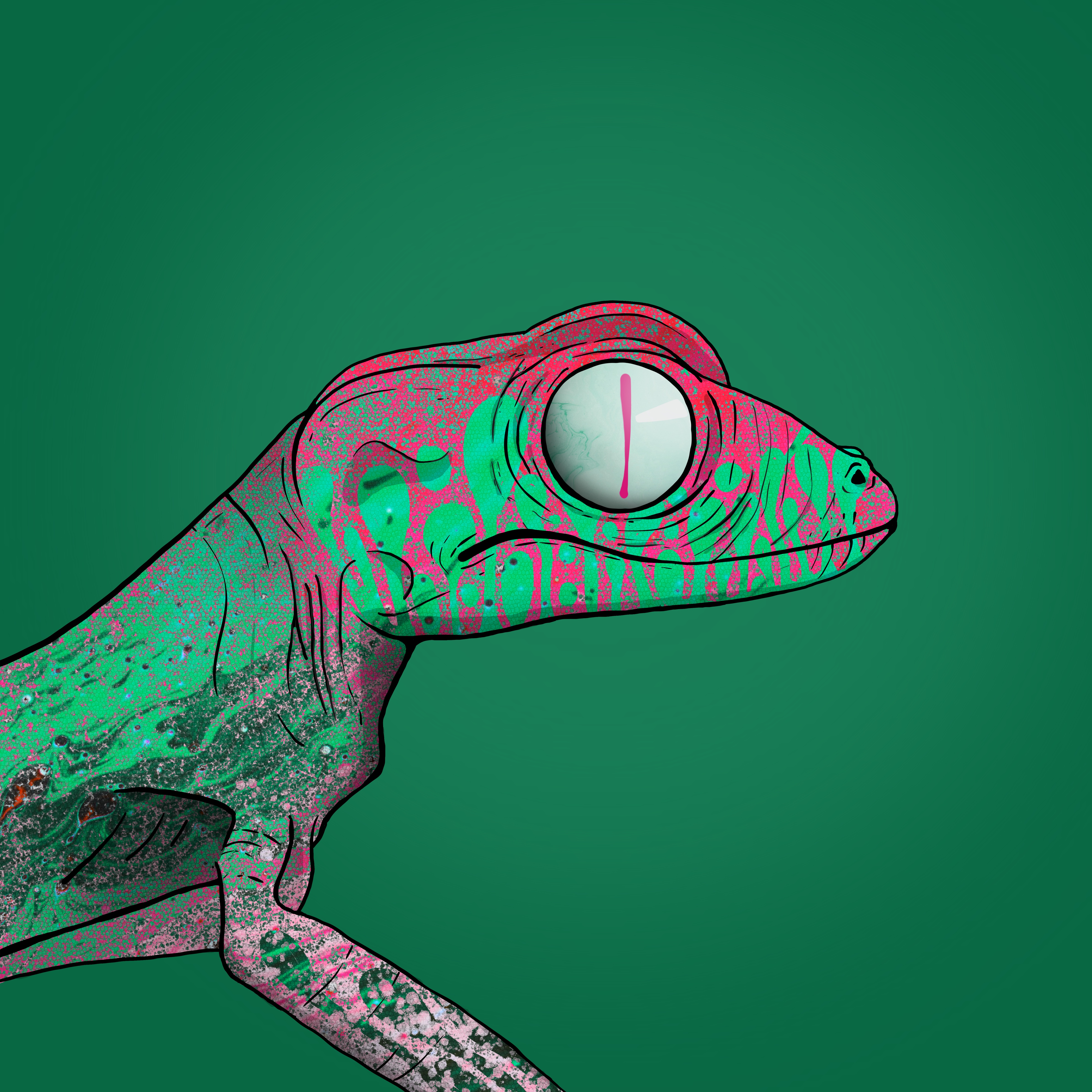 Geko 0373 NFT on Algorand