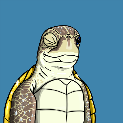 Wildlife Warrior Turtle #518