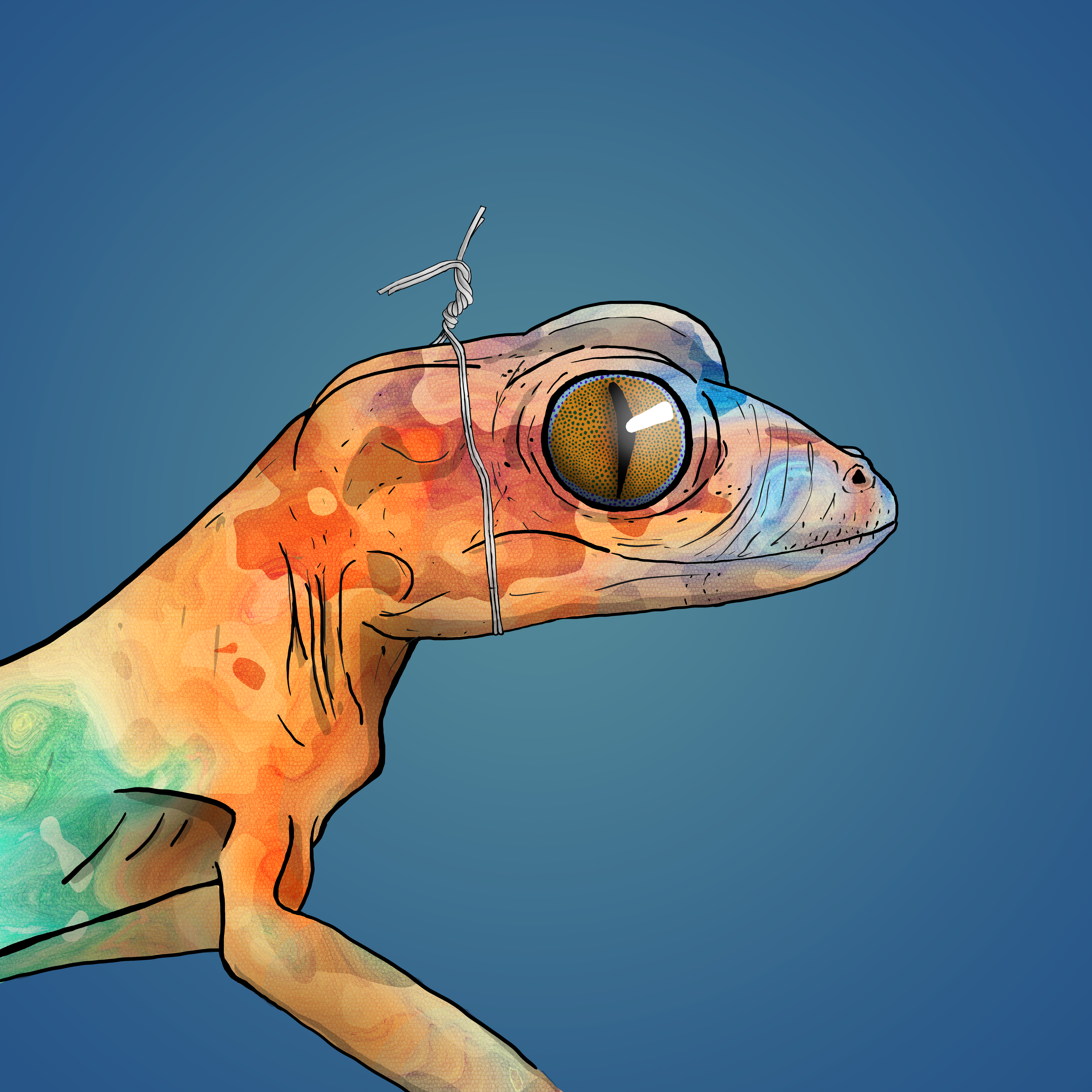 Geko 0205 NFT on Algorand