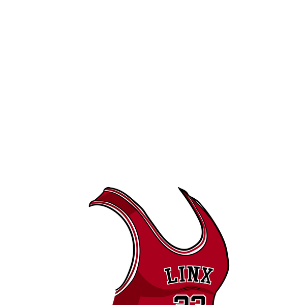 An image of Bulls Jersey