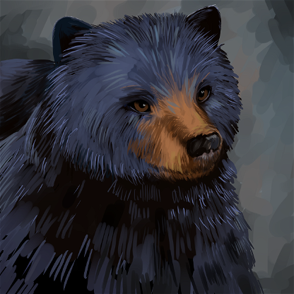 Bear#1