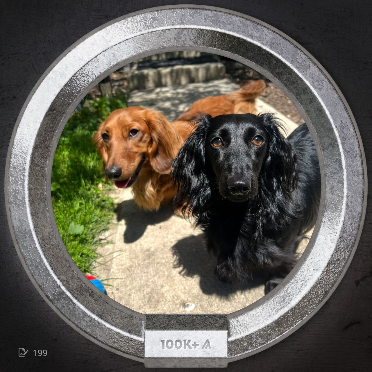 PoP - A5FQY…TIBIU NFT on Algorand