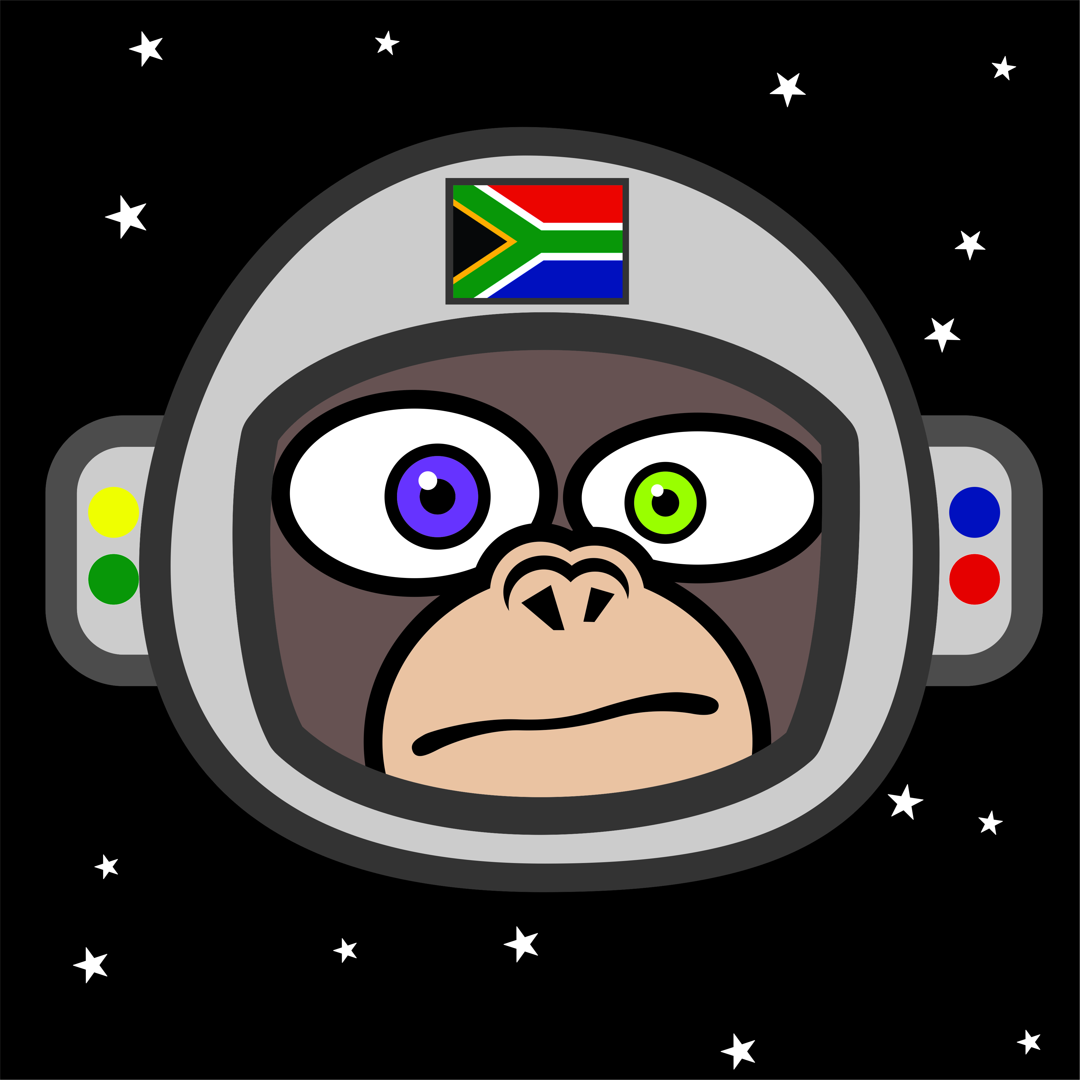 Space Monkey South Africa NFT on Algorand