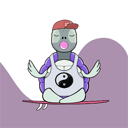 Zen Turtle 0190