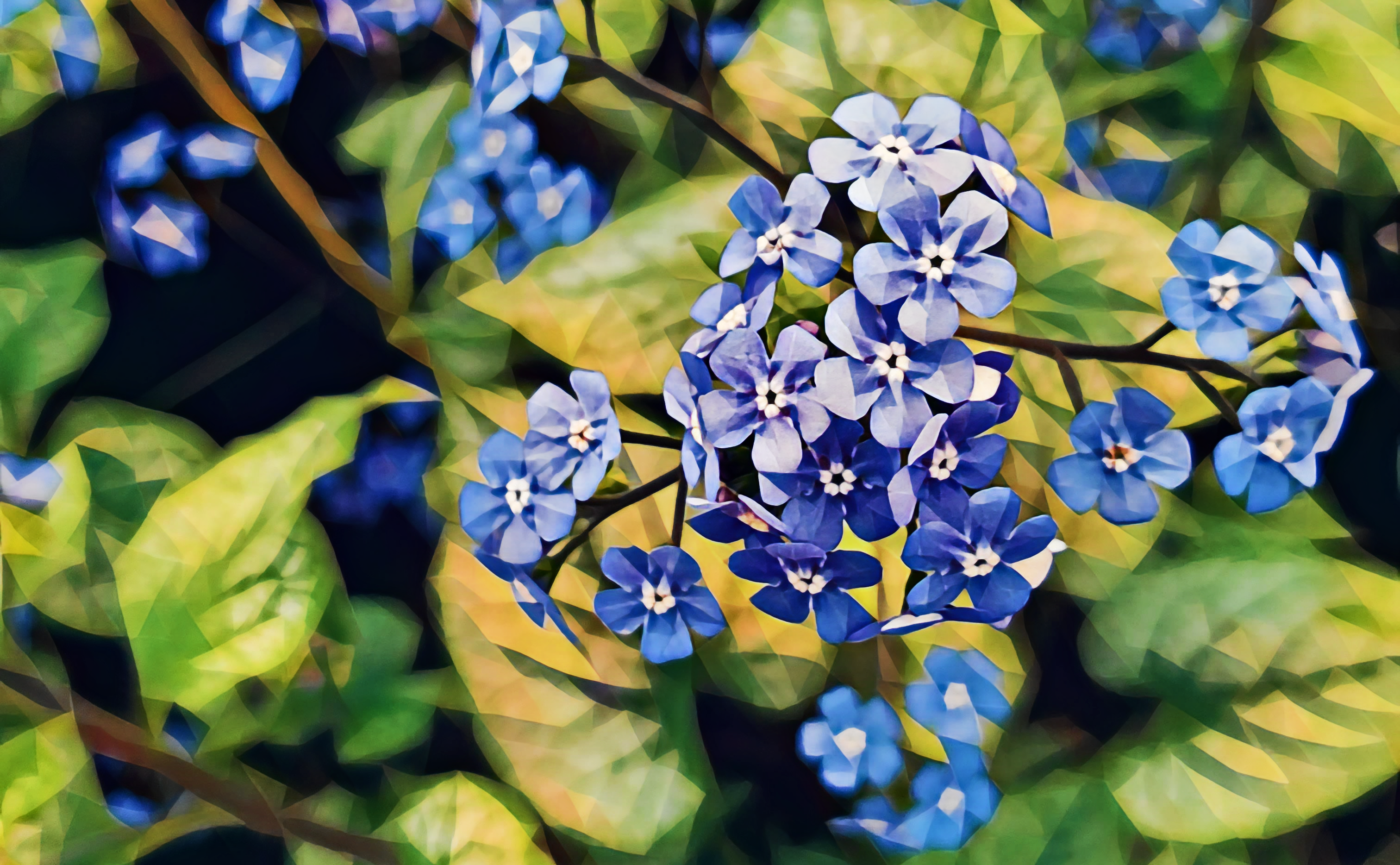Brunnera NFT on Algorand