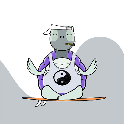 Zen turtle 0083