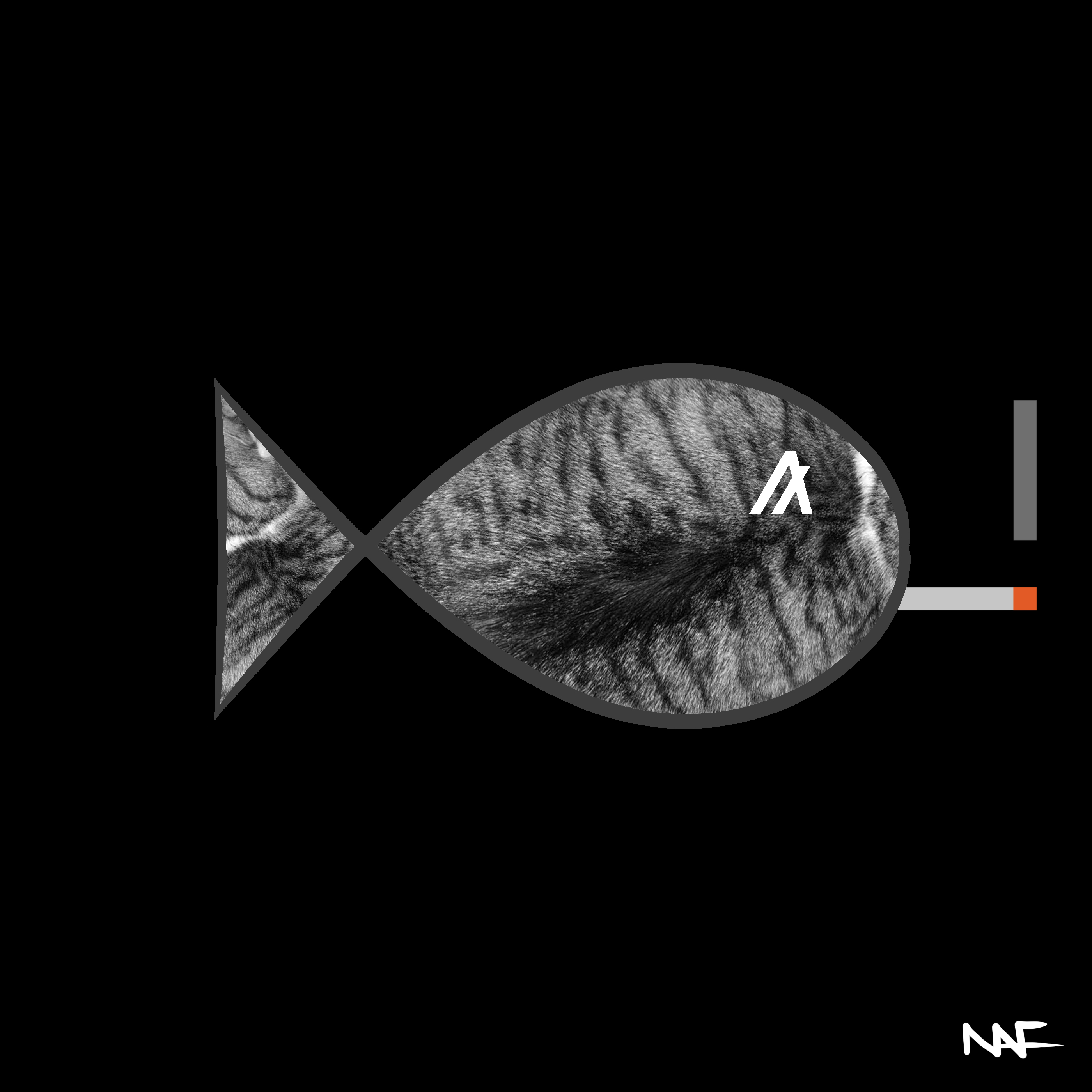 NAF NotAFish #079 NFT on Algorand